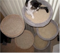 Top view of two cat perches side-by-side