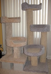 Two cat perches side-by-side for Sammi