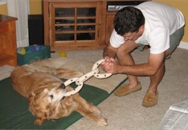 playing tug