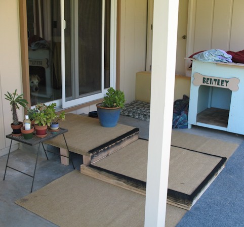 New long shallow steps out of the back yard