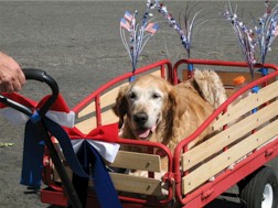 Bentley rides in the July 4 parade