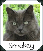 Smokey