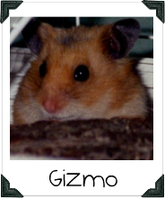 Gizmo