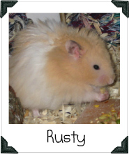 Rusty